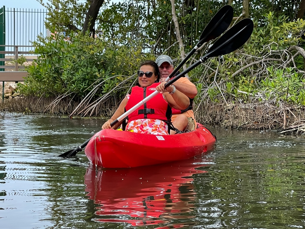 Visitor Adult Guided Kayak Tour - Mangrove Park